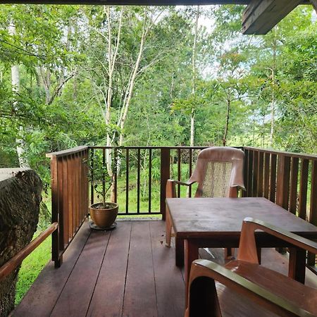 Wilpattu Tree House Bed & Breakfast Nochchiyagama Bagian luar foto