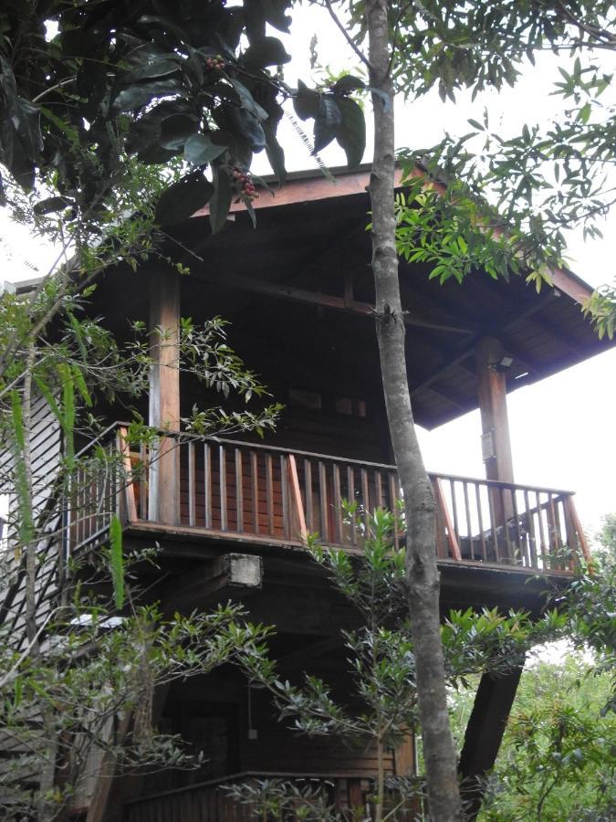 Wilpattu Tree House Bed & Breakfast Nochchiyagama Bagian luar foto