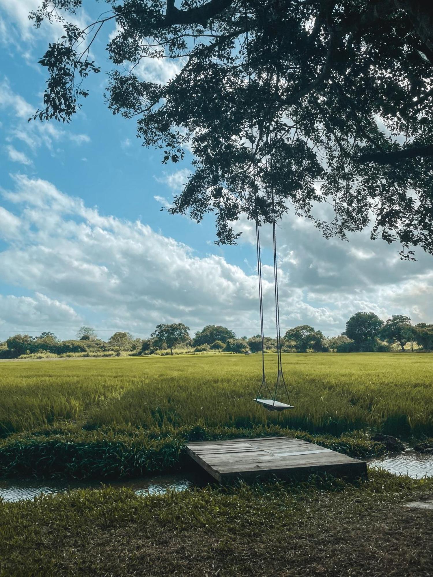 Wilpattu Tree House Bed & Breakfast Nochchiyagama Bagian luar foto