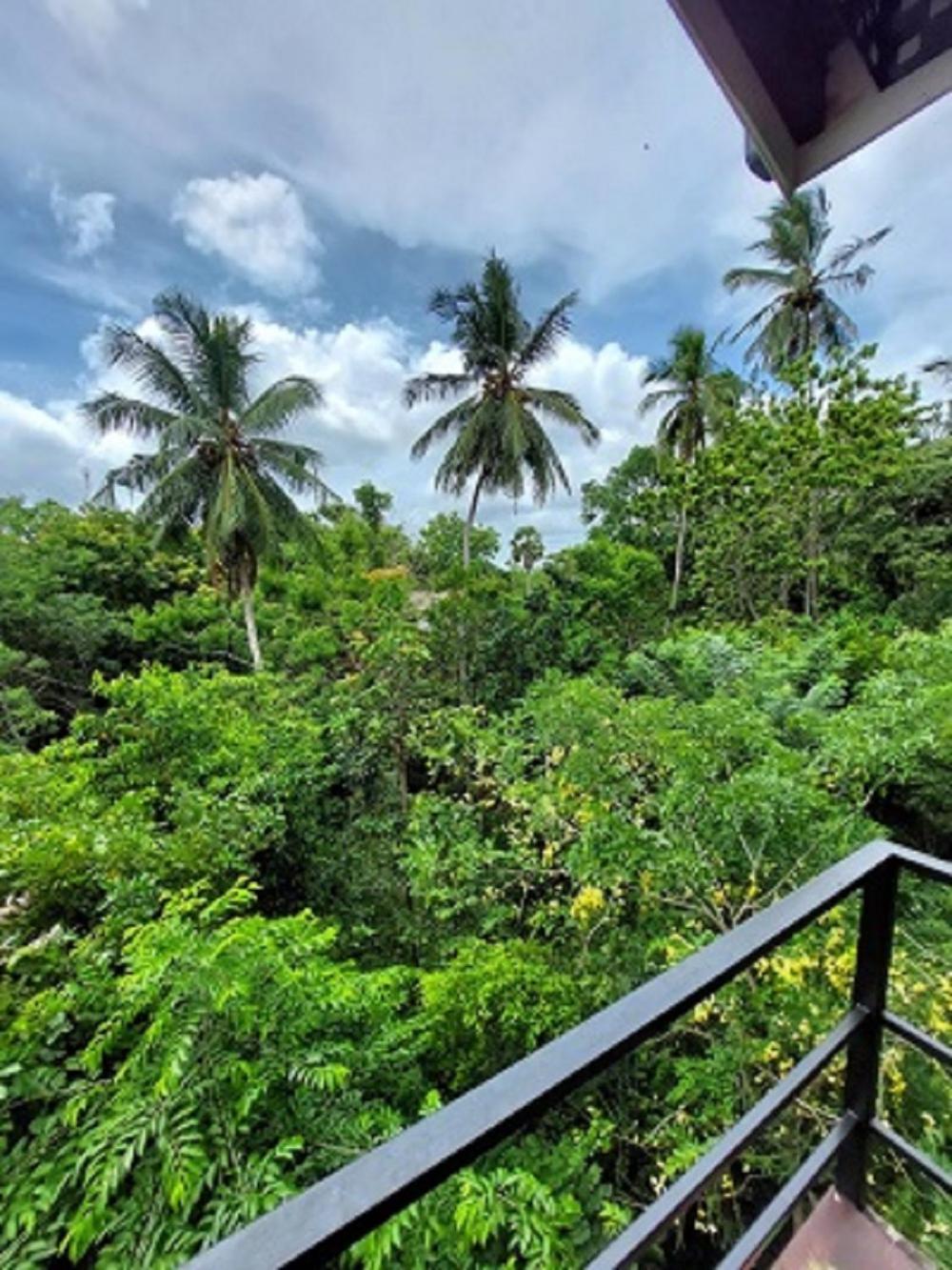Wilpattu Tree House Bed & Breakfast Nochchiyagama Bagian luar foto
