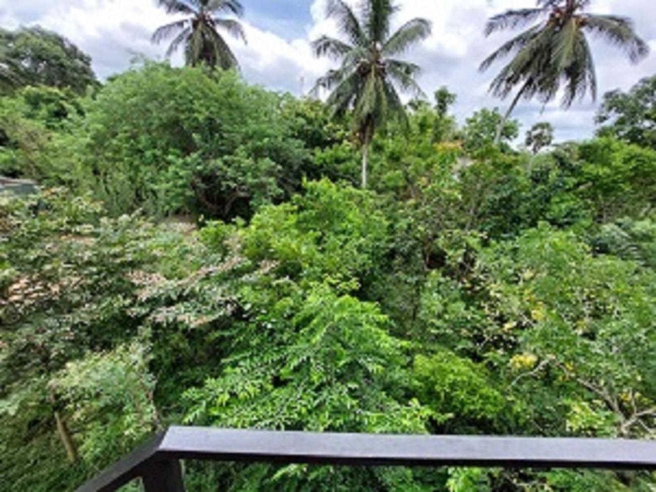 Wilpattu Tree House Bed & Breakfast Nochchiyagama Bagian luar foto