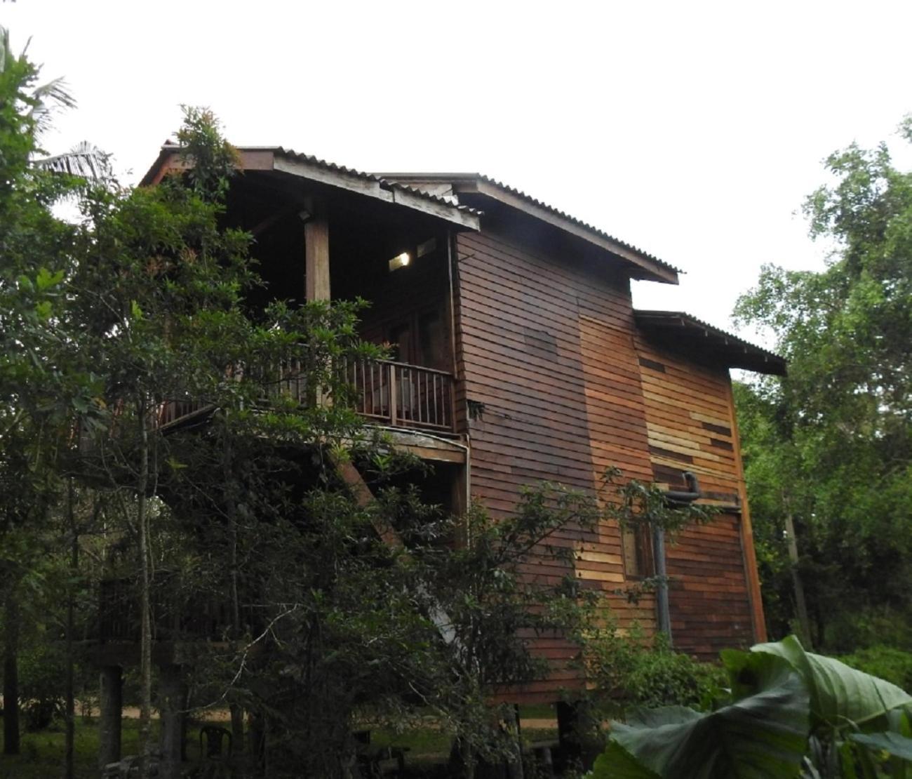 Wilpattu Tree House Bed & Breakfast Nochchiyagama Bagian luar foto