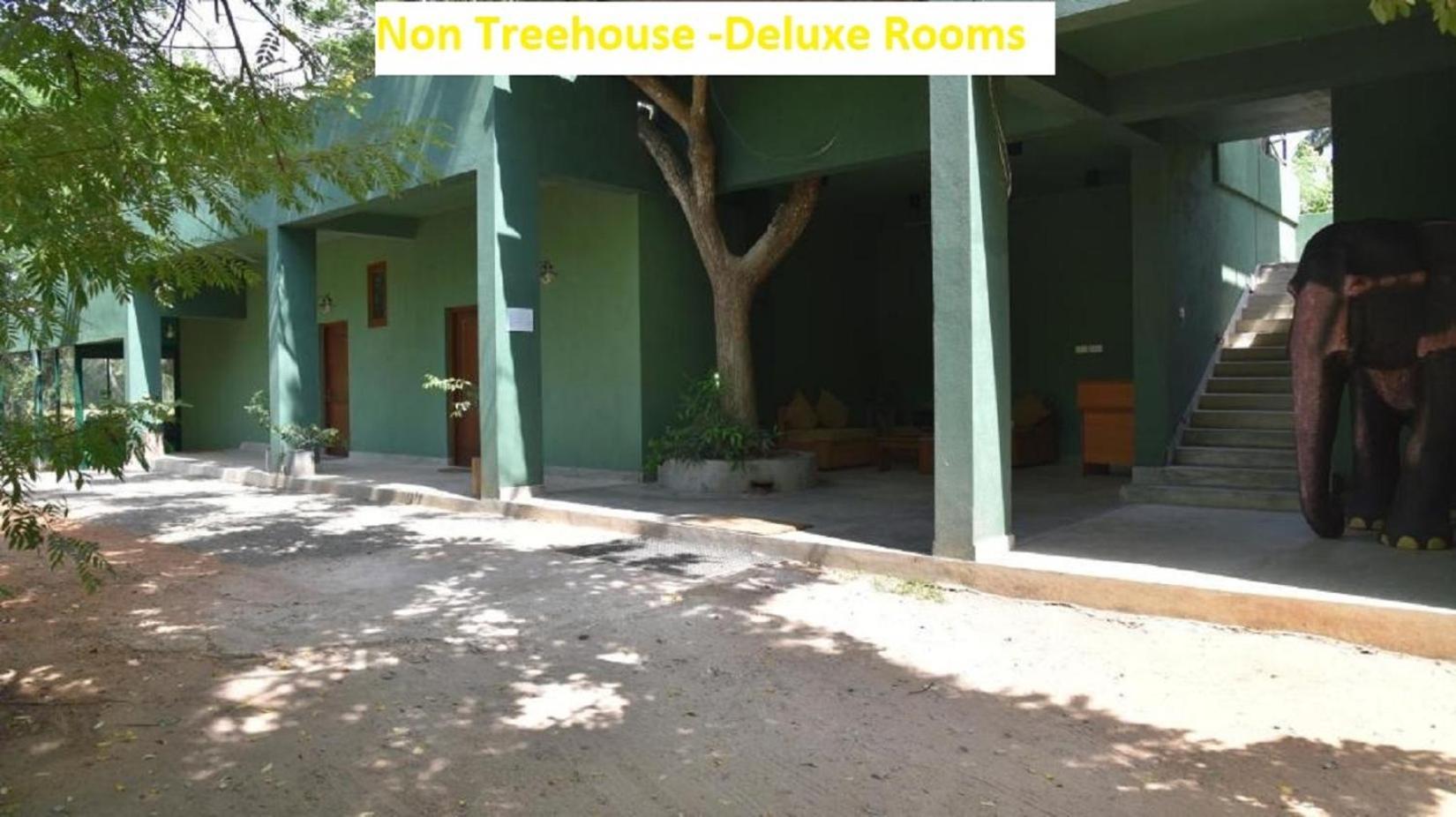 Wilpattu Tree House Bed & Breakfast Nochchiyagama Bagian luar foto