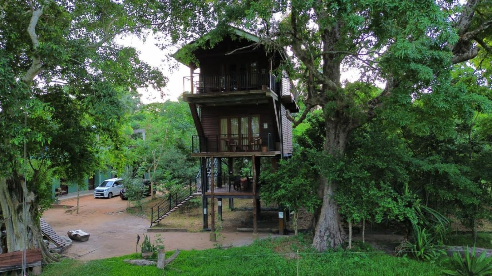 Wilpattu Tree House Bed & Breakfast Nochchiyagama Bagian luar foto