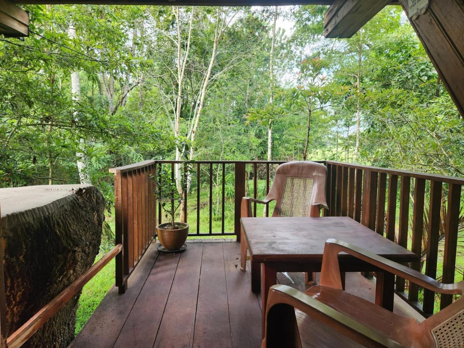 Wilpattu Tree House Bed & Breakfast Nochchiyagama Bagian luar foto