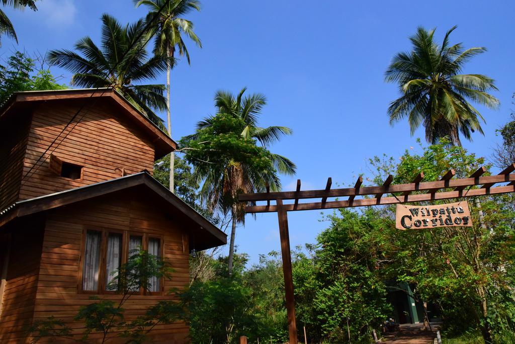 Wilpattu Tree House Bed & Breakfast Nochchiyagama Bagian luar foto