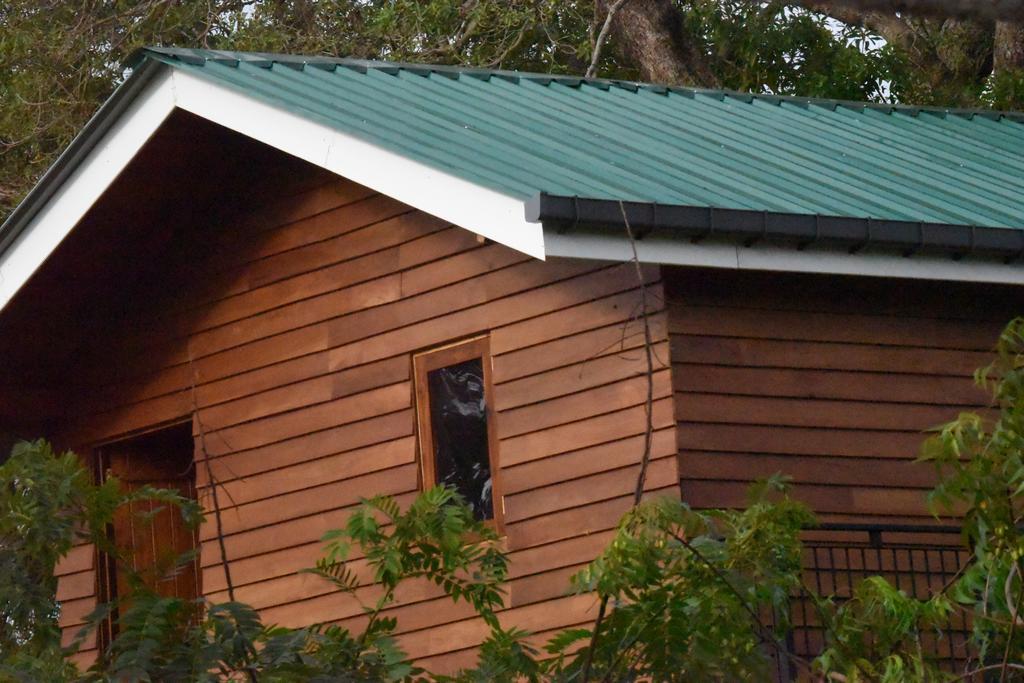 Wilpattu Tree House Bed & Breakfast Nochchiyagama Bagian luar foto